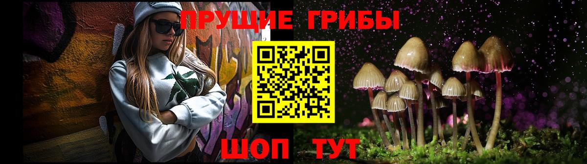 Сорочинск  Галлюциногенные грибы Cubensis  Вход с VPN 
